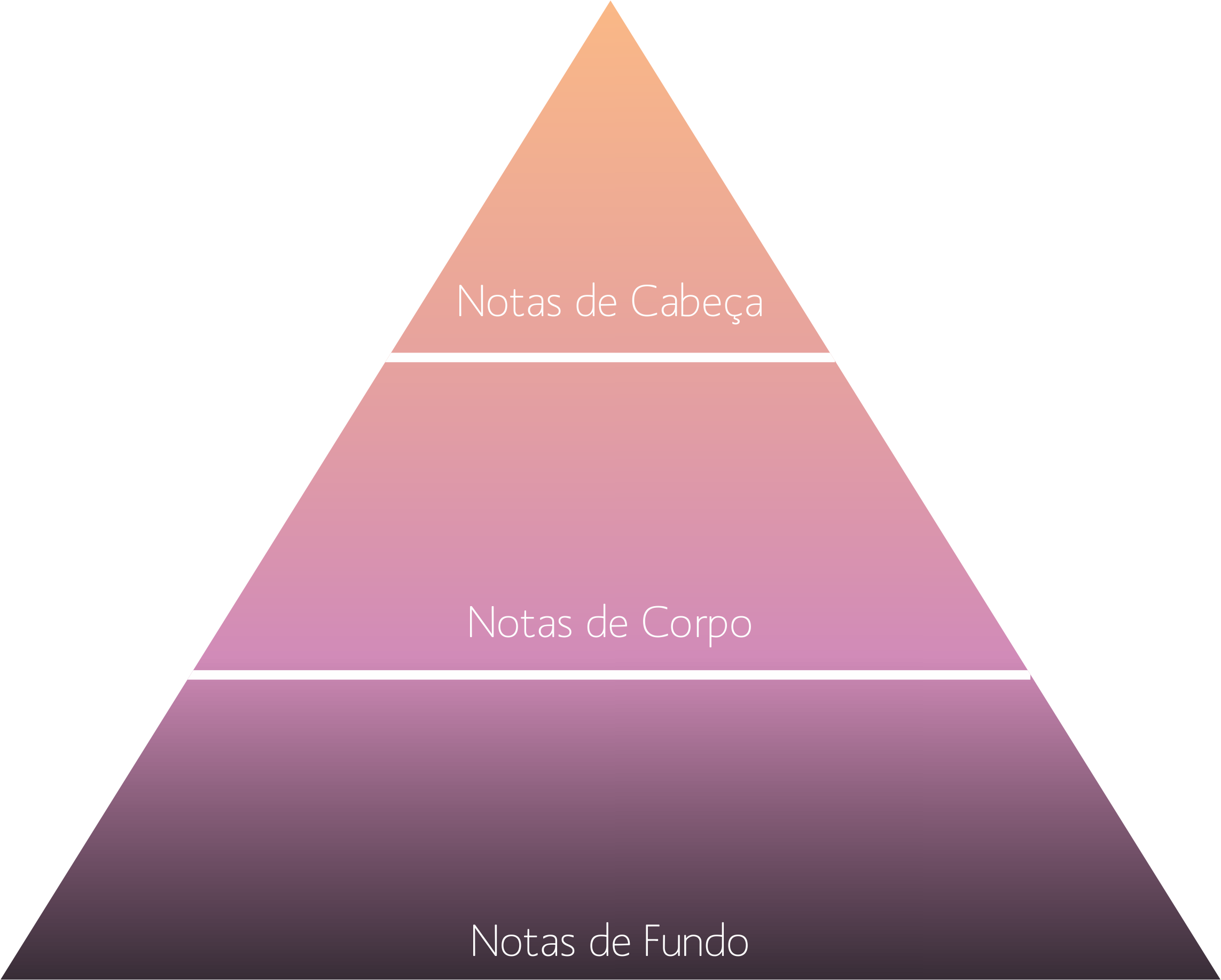 O que é uma Pirâmide Olfativa? - Gaudore